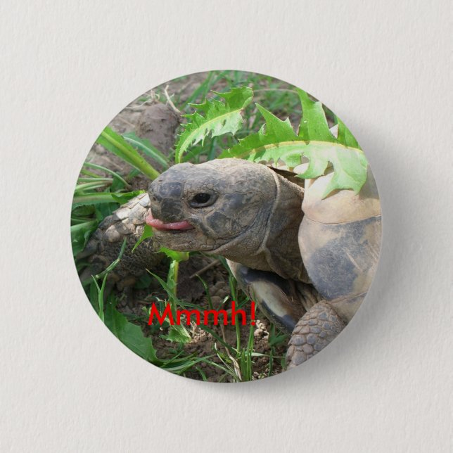 Badge Rond 5 Cm Bouton de tortue (Devant)