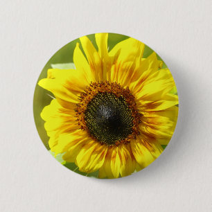 Badge Rond 5 Cm Bouton de tournesol jaune