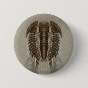Badge Rond 5 Cm Bouton de Trilobite