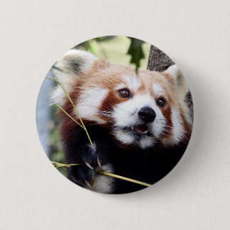 Badge Rond 5 Cm Bouton de visage de panda rouge