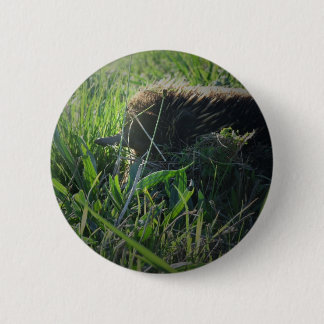 Badge Rond 5 Cm Bouton d'Echidna