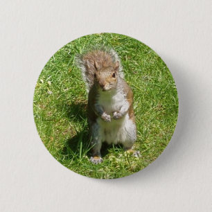 Badge Rond 5 Cm Bouton d'écureuil
