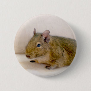 Badge Rond 5 Cm Bouton Degu