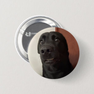 Badge Rond 5 Cm Bouton d'épingle de mème de chien effrayé