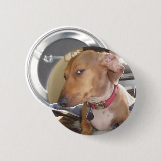 Badge Rond 5 Cm Bouton d'épingle de mème pour chien oeil latéral