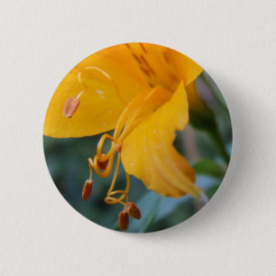 Badge Rond 5 Cm Bouton Détails du fleur