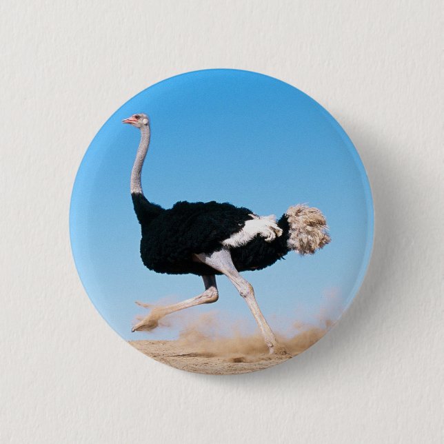 Badge Rond 5 Cm Bouton d'exécution d'autruche (Devant)
