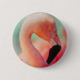 Badge Rond 5 Cm Bouton d'oiseau rose exotique Flamant rose