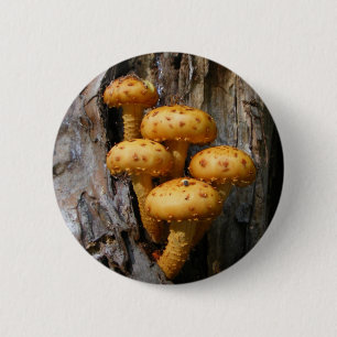 Badge Rond 5 Cm Bouton d'or de ~ de champignon
