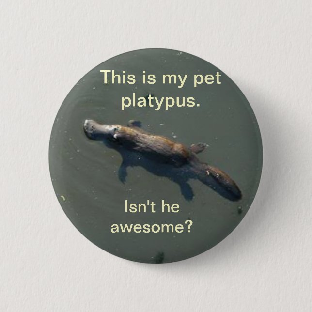 Badge Rond 5 Cm Bouton d'ornithorynque d'animal familier (Devant)