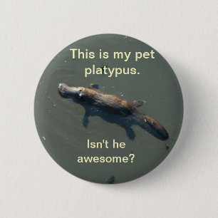 Badge Rond 5 Cm Bouton d'ornithorynque d'animal familier