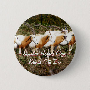 Badge Rond 5 Cm Bouton d'oryx à cornes scimitar
