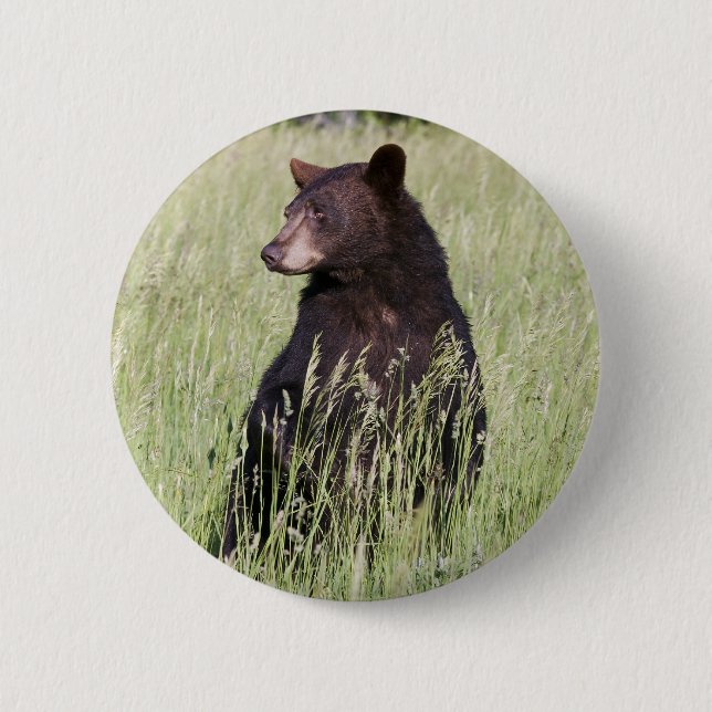 Badge Rond 5 Cm Bouton d'ours noir (Devant)