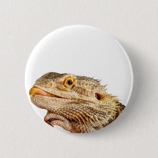 Badge Rond 5 Cm Bouton Dragon à oreilles