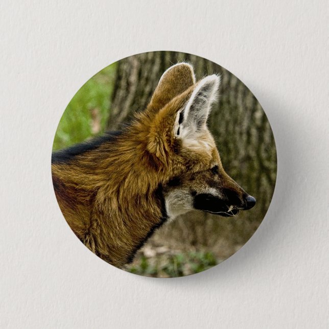 Badge Rond 5 Cm Bouton du loup Maned 1529 (Devant)