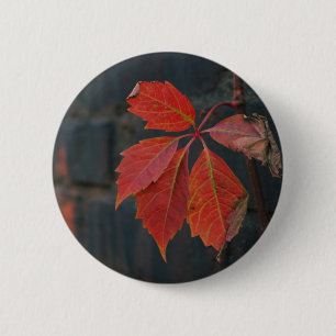 Badge Rond 5 Cm Bouton Feuille rouge
