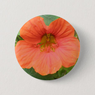 Badge Rond 5 Cm Bouton Fleur de Nasturtium orange