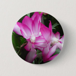 Badge Rond 5 Cm Bouton Fleurs de cactus de Noël
