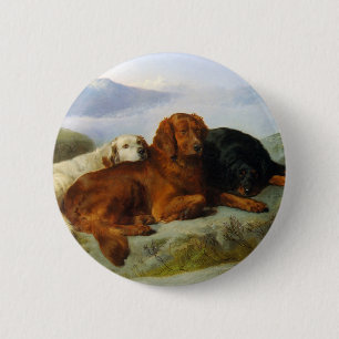 Badge Rond 5 Cm Bouton Golden Retriever, Irish et Gordon Setter