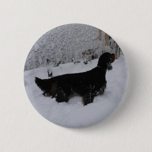 Badge Rond 5 Cm Bouton Gordon Setter