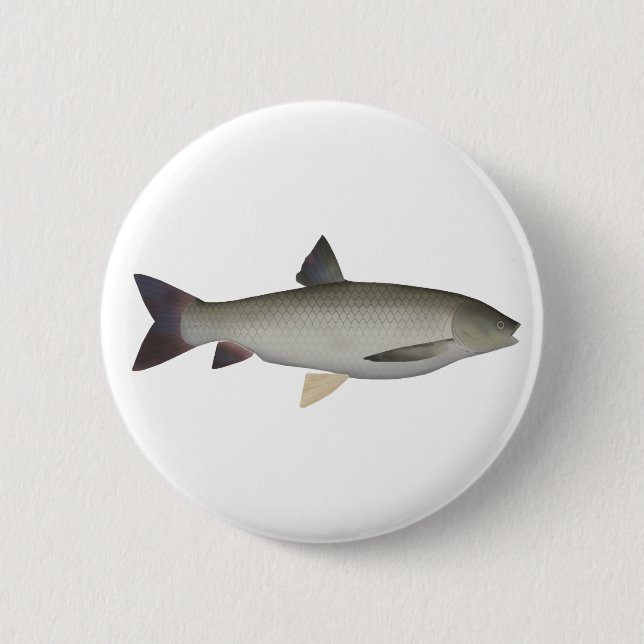 Badge Rond 5 Cm Bouton Grass Carp (Devant)