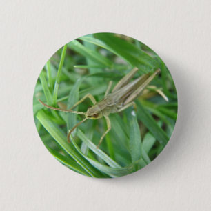 Badge Rond 5 Cm Bouton Grasshopper