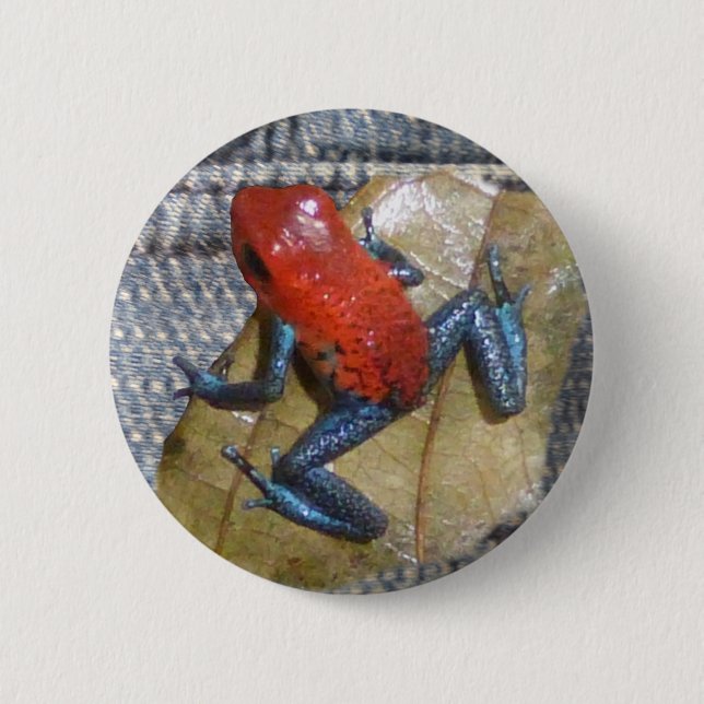 Badge Rond 5 Cm Bouton Grenouille aux Jeans bleus (Devant)
