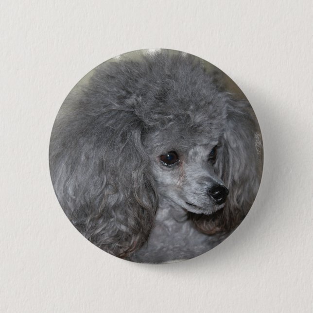 Badge Rond 5 Cm Bouton gris de caniche (Devant)
