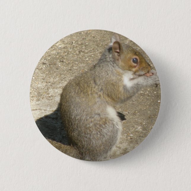 Badge Rond 5 Cm Bouton Horatio de l'écureuil affamé (Devant)