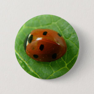 Badge Rond 5 Cm Bouton Ladybug