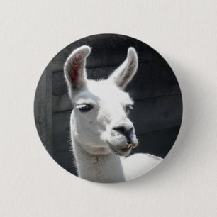 Badge Rond 5 Cm Bouton Lama Souriant
