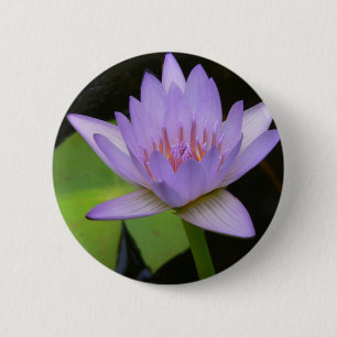 Badge Rond 5 Cm Bouton, Lavande Douce Lavande D'Eau 300