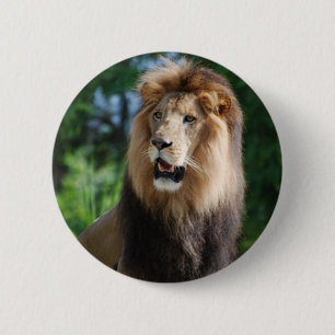Badge Rond 5 Cm Bouton majestueux de lion