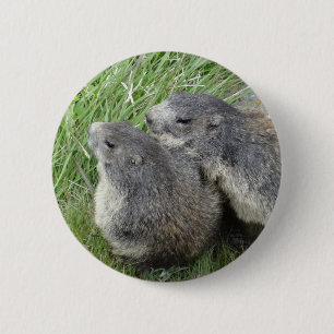 Badge Rond 5 Cm Bouton Marmot