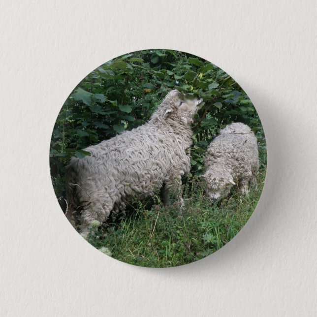 Badge Rond 5 Cm Bouton mignon Manger Feuille (Devant)