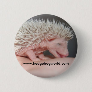 Badge Rond 5 Cm Bouton minuscule de bébé
