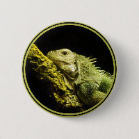 Bouton noble d'iguane