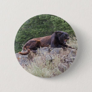 Badge Rond 5 Cm Bouton noir de léopard