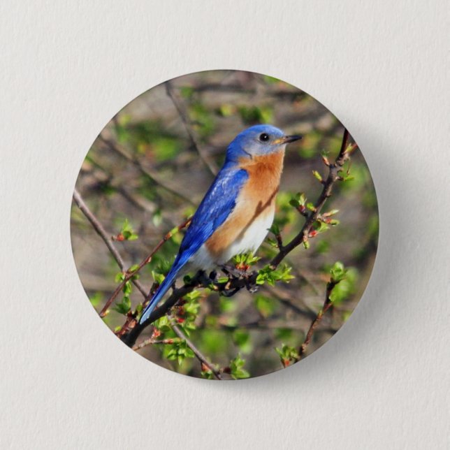 Badge Rond 5 Cm Bouton oriental d'oiseau bleu (Devant)