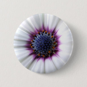 Badge Rond 5 Cm Bouton Osteospurmum