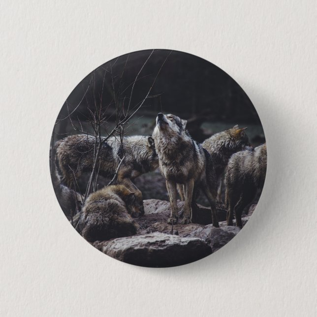 Badge Rond 5 Cm Bouton Pack Wolf (Devant)