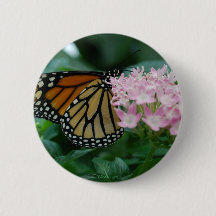 Bouton papillon Monarque