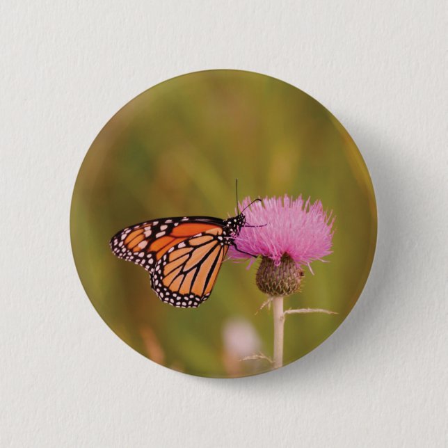 Badge Rond 5 Cm Bouton papillon Monarque (Devant)