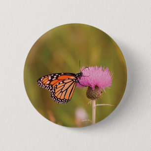 Badge Rond 5 Cm Bouton papillon Monarque