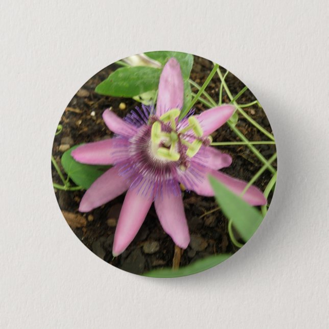Badge Rond 5 Cm Bouton Passionflower rose et violet (Devant)