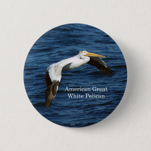 Badge Rond 5 Cm Bouton Pélican blanc américain
