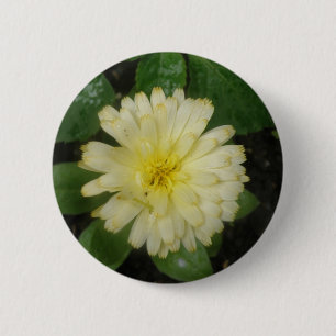 Badge Rond 5 Cm Bouton Petit Marigold Jaune