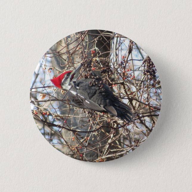 Badge Rond 5 Cm Bouton Pic pilé (Devant)