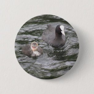 Badge Rond 5 Cm Bouton Pied et poussette