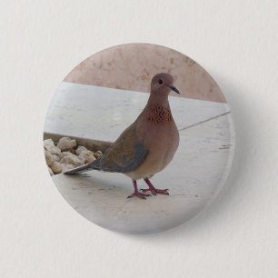 Badge Rond 5 Cm Bouton Pigeon